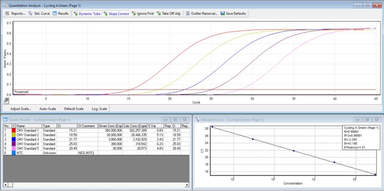 منحنی استانداردهای کیت famtaQUANT CMV Real-Time PCR