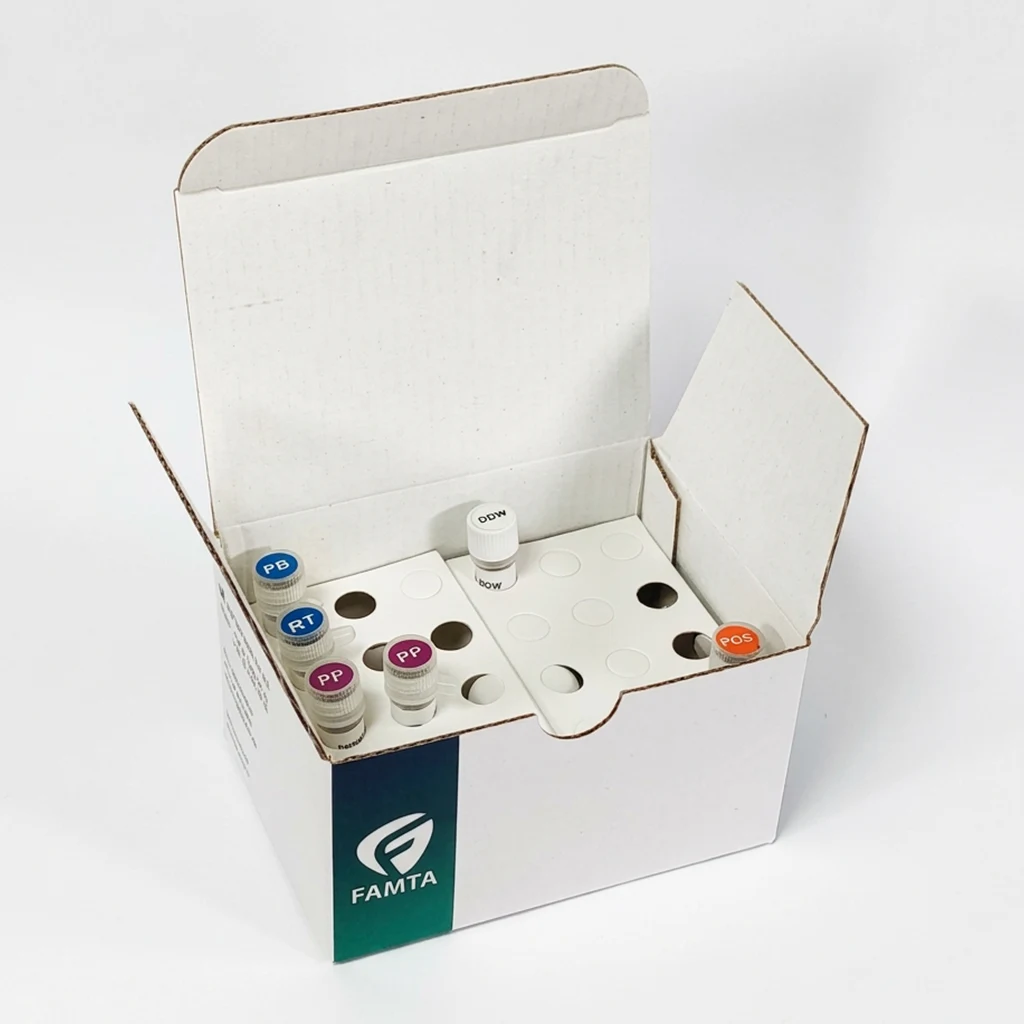 famtaSCREEN Infl. A/H1,B Onestep Real Time PCR Kit RUO0