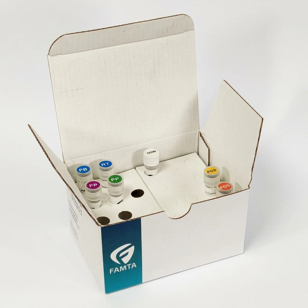 famtaSCREEN E2A-PBX OneStep Real Time PCR Kit0