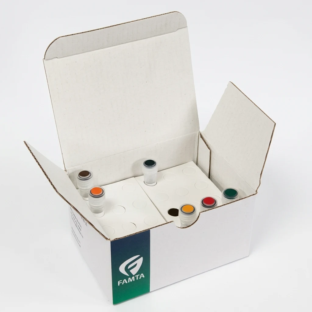 famtaSCREEN MTHFR 677 Real Time PCR Kit0
